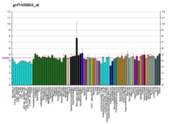 PBB GE OR8G2 gnf1h05804 at fs.png