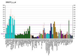 PBB GE PITRM1 205273 s bei fs.png