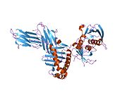 PDB 1pyw EBI.jpg