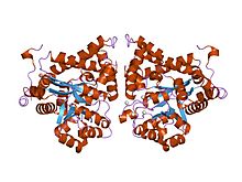 PDB 2amx EBI.jpg