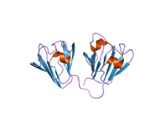 <span class="mw-page-title-main">Affilin</span> Artificial proteins