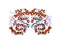 Miniatuur voor Bestand:PDB 2nqo EBI.jpg