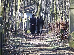 Hebrea Tombejo De Varsovio: Historio de la tombejo, Kelkaj gravaj personoj entombigitaj sur la tombejo, Familianoj de L.L.Zamenhof entombigitaj sur la tombejo