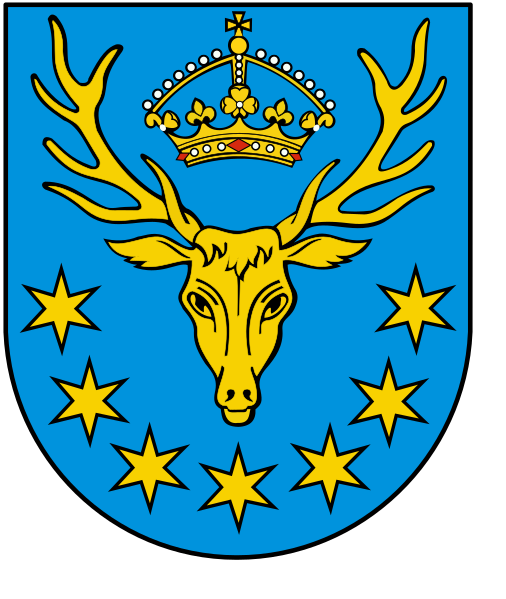 File:POL powiat kozienicki COA.svg