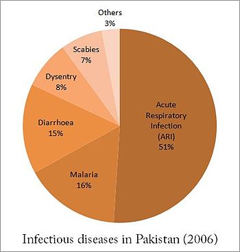 Infectious diseases in Pakistan by proportion (2006) Pakistan infectious diseases 2006.jpg