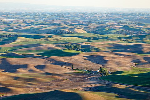 Palouse Hills from Steptoe Butte in Whitman County, Washington State on a Saturday evening