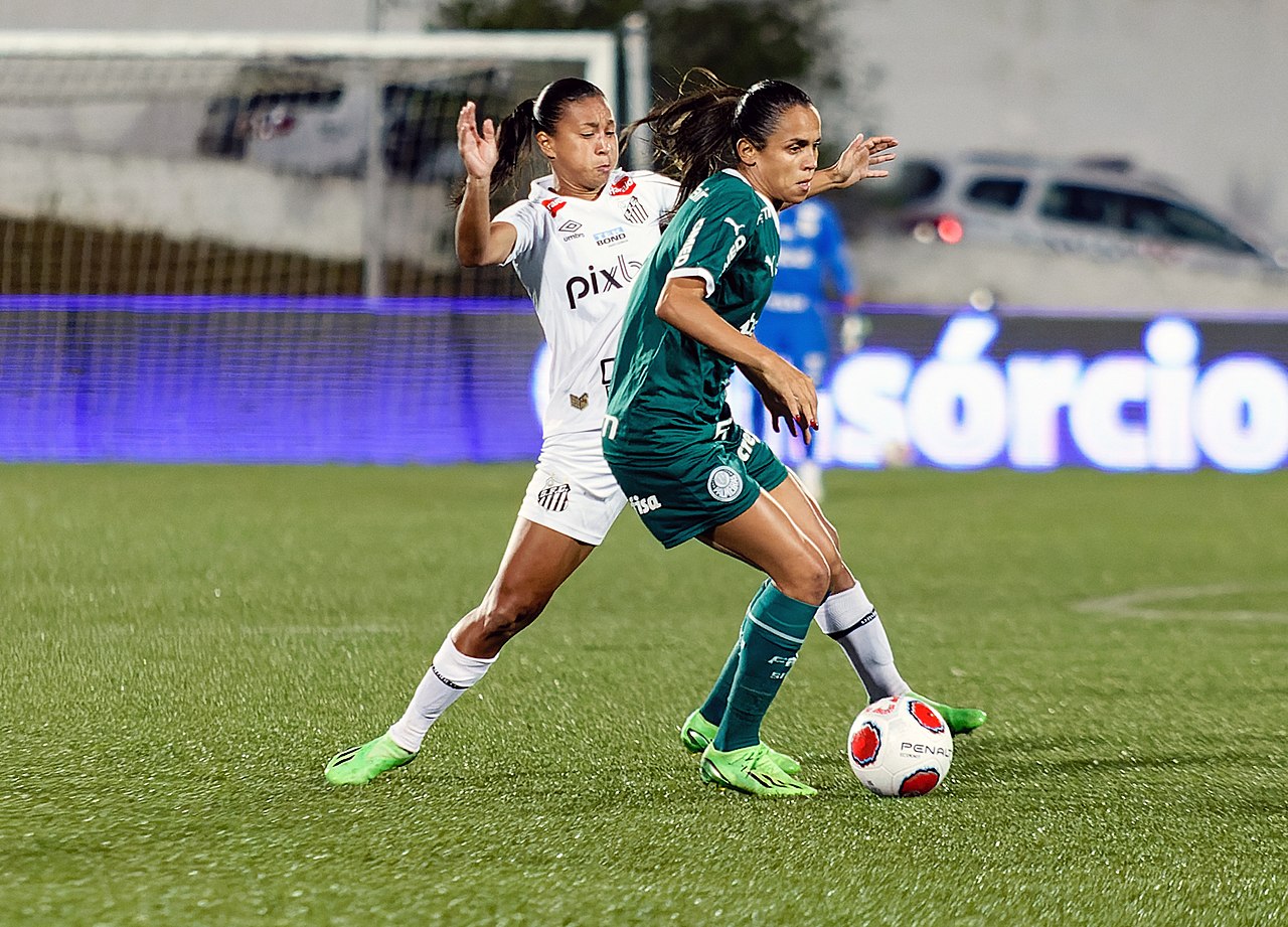 File:Paulista Feminino Final Santos 0x1 Palmeiras - 52571017433.jpg -  Wikipedia