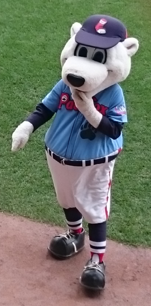 File:Paws - PawSox mascot.png