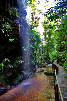 Pedra Caída waterfall and walkway.