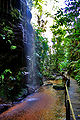 Cachoeira de Pedra Caída