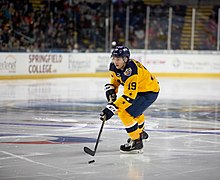 Bunting representing the Tucson Roadrunners during the 2019 AHL All-Star Classic Photo By Kelly Shea (33037447128).jpg