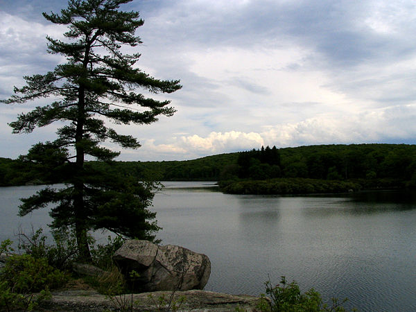 Pine Meadow Lake in Harriman State Park