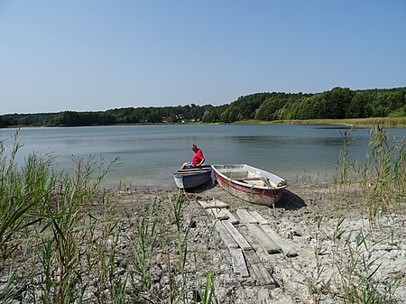 PinnowerSee