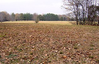 The view across the top of Mound 10 into a field below Pinson-mounds-mound10.jpg