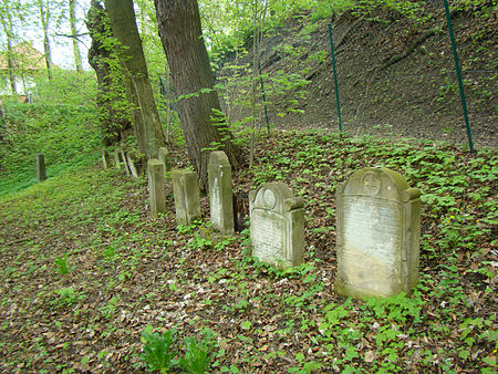 Plaue jundefriedhof 2013 i