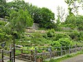 Terrassierter ehemaliger Rahmenberg zwischen Stadtmauer und Mühlgraben und unterhalb der Johanniskirche sowie ehemalige terrassierte Gärten des Weißbachschen Hauses