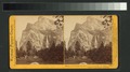 Pohono, or the Bridal Veil, 900 feet, from the Coulterville Trail (NYPL b11707313-G89F391 094F).tiff