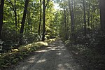 Mashamoquet Brook State Park