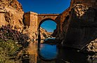 Roman Bridge in Katara Gorge - Biskra Photograph: Midou.dambri