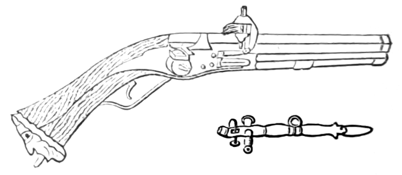 File:Portable fire-arms of olden time - Wheellock pistol.png