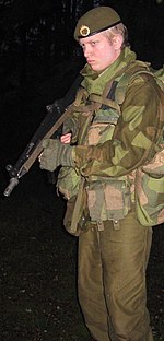 Norwegian Army