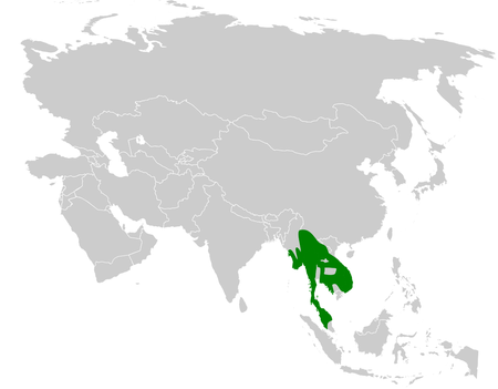 Pycnonotus finlaysoni distribution map.png