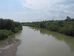 Râul Siret2.jpg