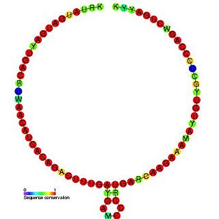 <span class="mw-page-title-main">Small nucleolar RNA TBR7</span>