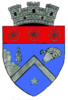 Coat of arms of Comarnic