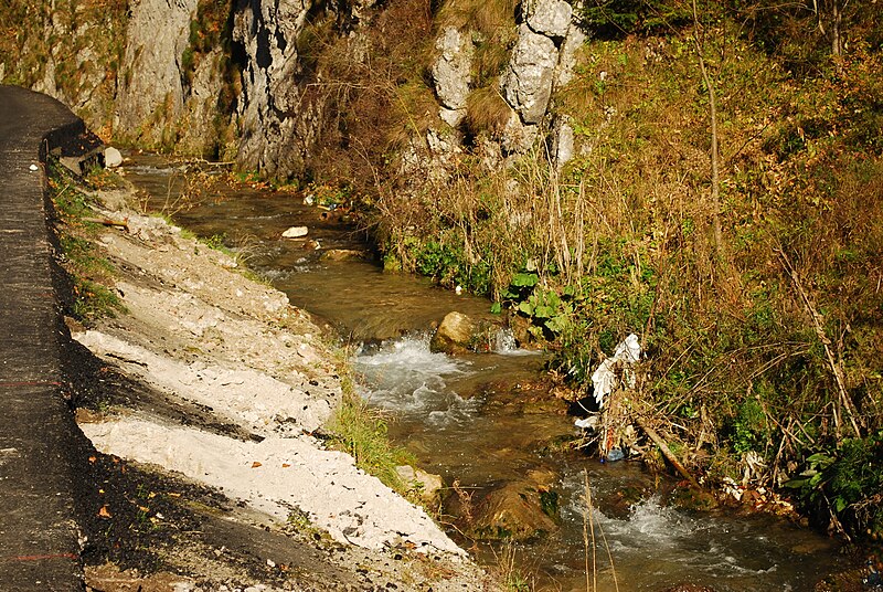 File:RO AG Dambovicioara river 1.jpg