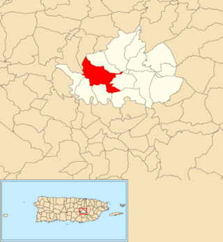 <span class="mw-page-title-main">Rabanal, Cidra, Puerto Rico</span> Barrio of Puerto Rico