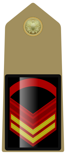 File:Rank insignia of caporalmaggiore capo scelto of the Army of Italy (1973).svg