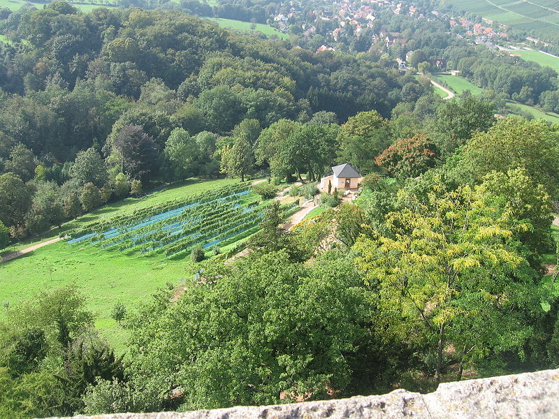 File:Reben-u-Ruine.jpg