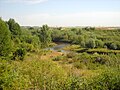 Inde in rekultivierter Landschaft