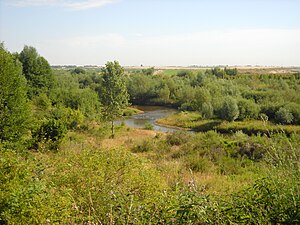 Braunkohlebergbau: Deutschland, Umweltauswirkungen, Ausgewählte Reviere außerhalb Deutschlands