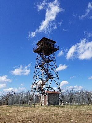 Rich Mountain Lookout Tower.jpg