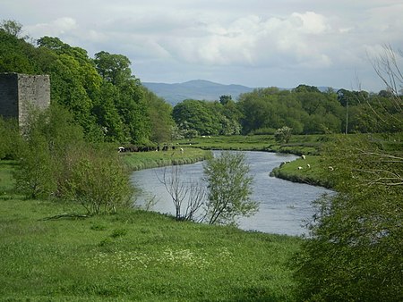 River clwyd rhuddlan