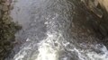 File:Roiling-water3.webm
