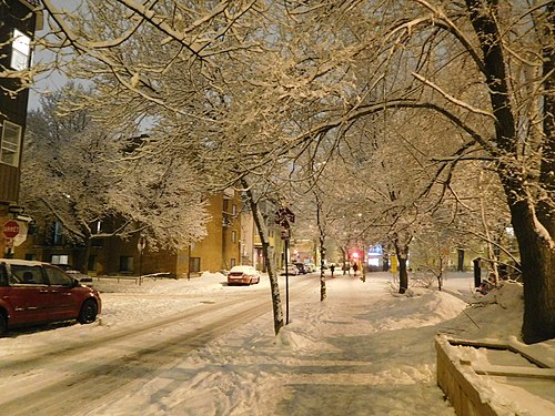 Rue Saint-Ferdinand, Montréal