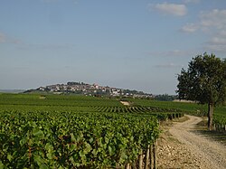 Le Sancerrois.