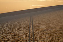 Sand dune in the Libyan Desert near Dakhla Oasis at sunset. Sand dunes, Libyan Desert, Dakhla Oasis, Egypt.jpg