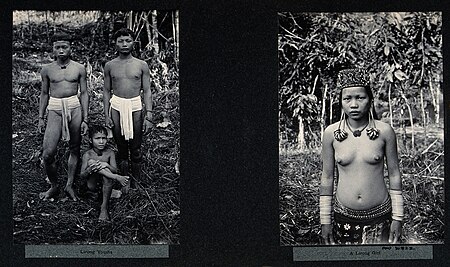 Fail:Sarawak; three native Lirong boys and one girl. Photographs. Wellcome V0037455.jpg