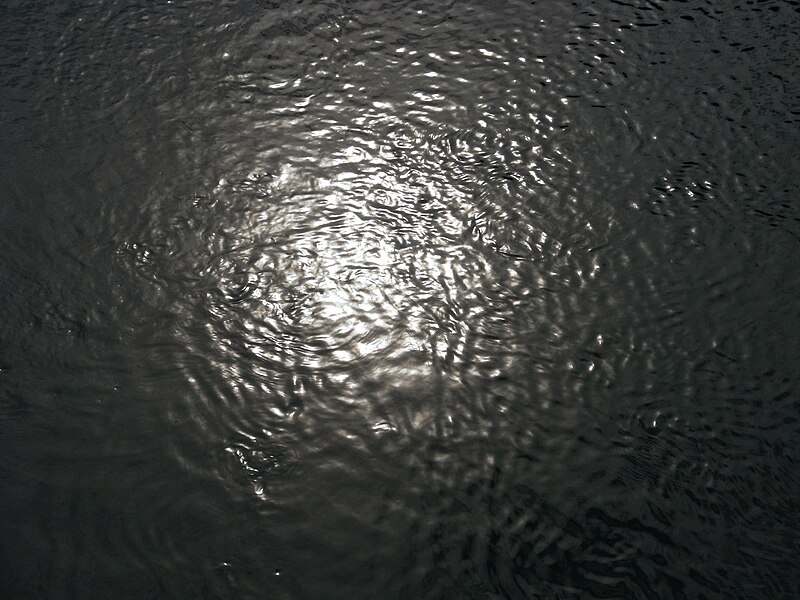 File:Sauer river near Esch-sur-Sûre 7; reflection of sunlight in water.JPG
