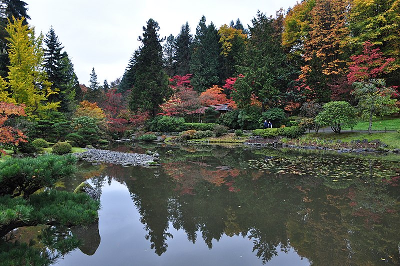 File:Seattle Japanese garden 2011 15.jpg