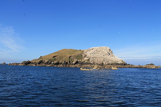 Île Rouzic