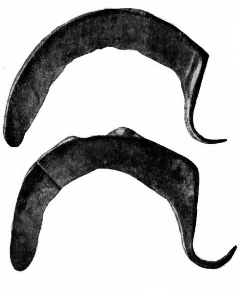 File:Sickle-cau.png