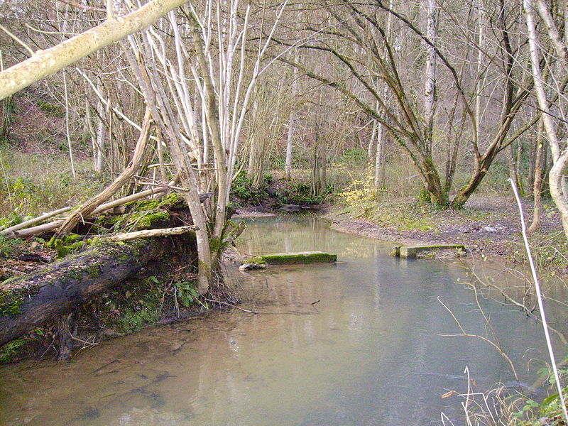 File:Source Rivière d'Angerville.JPG