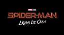 SpidermanFH.IMG 0607.jpg