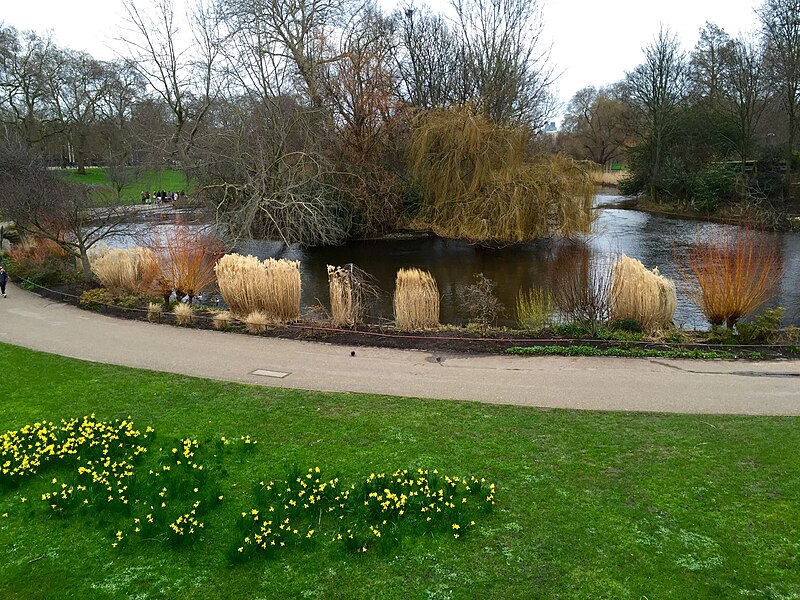 File:St.James's Park - geograph.org.uk - 4819600.jpg