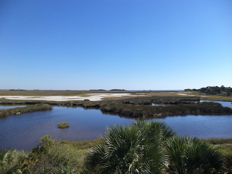 File:St Marks NWR October 2013 4.JPG